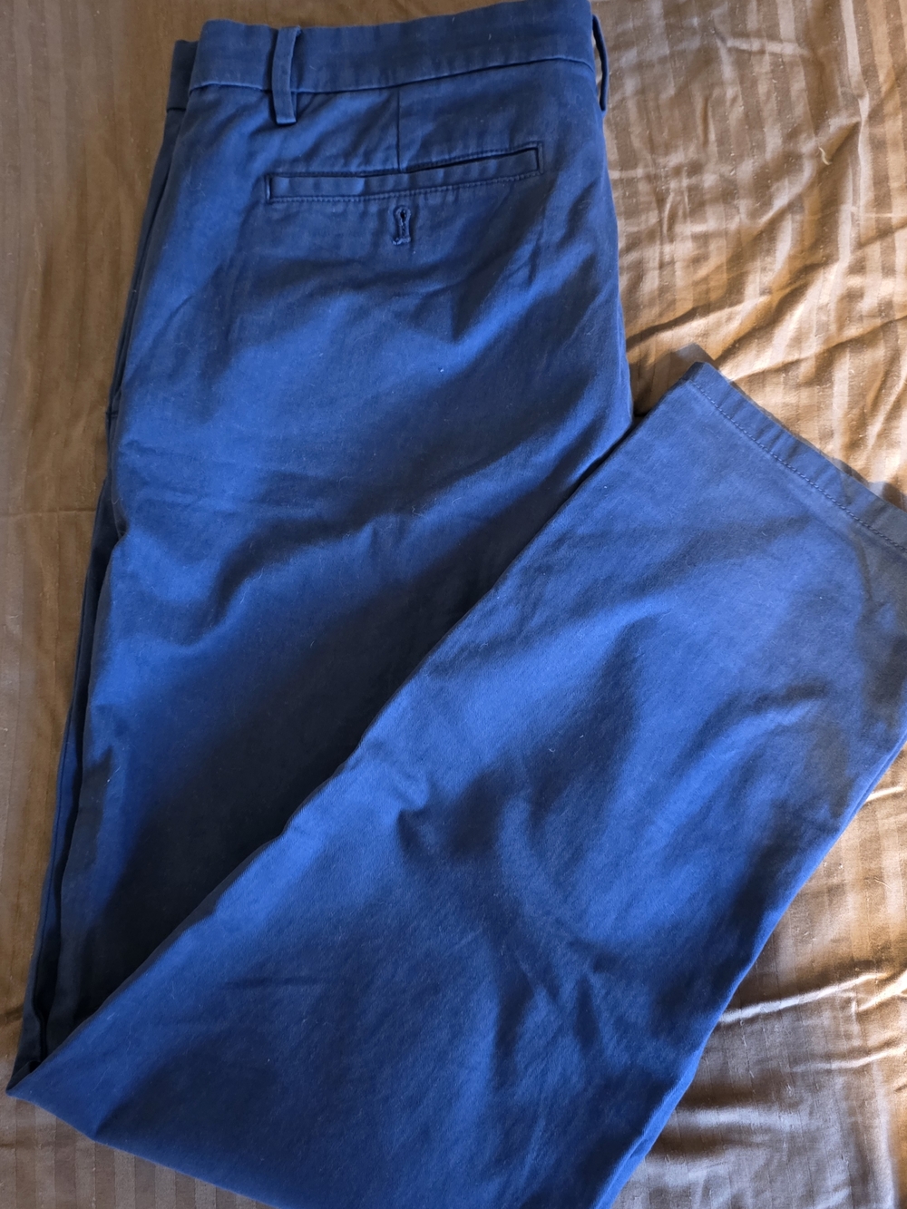 Banana Republic Navy Blue Men's Chinos